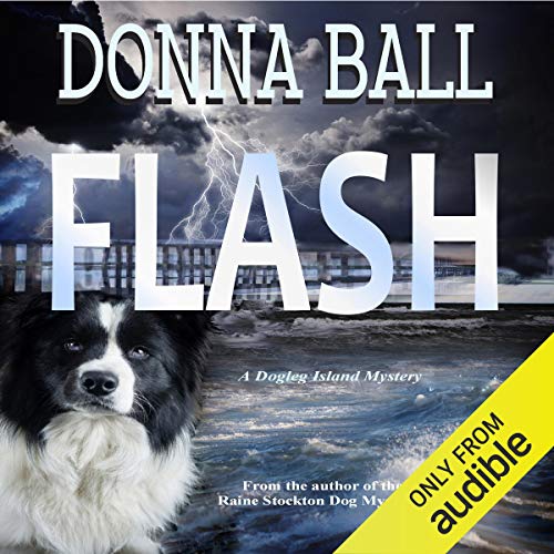 Flash Audiobook Cover